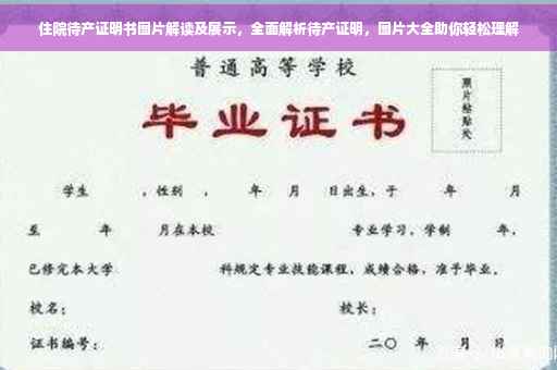 住院待产证明书图片解读及展示，全面解析待产证明，图片大全助你轻松理解