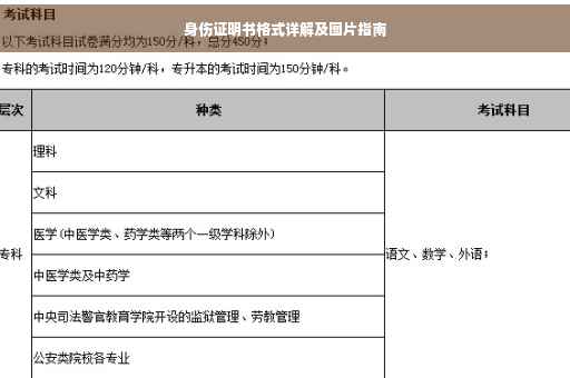 身伤证明书格式详解及图片指南