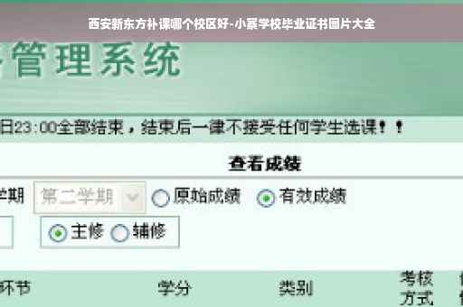 西安新东方补课哪个校区好-小寨学校毕业证书图片大全