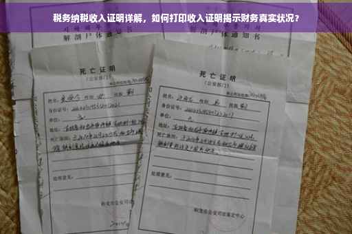 税务纳税收入证明详解，如何打印收入证明揭示财务真实状况？