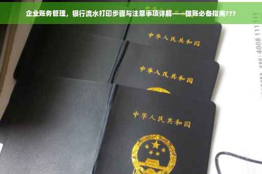 企业账务管理，银行流水打印步骤与注意事项详解——做账必备指南???