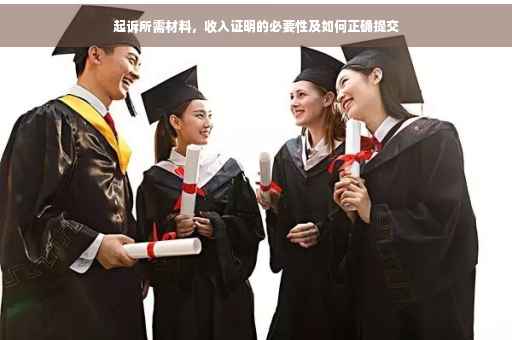 起诉所需材料，收入证明的必要性及如何正确提交