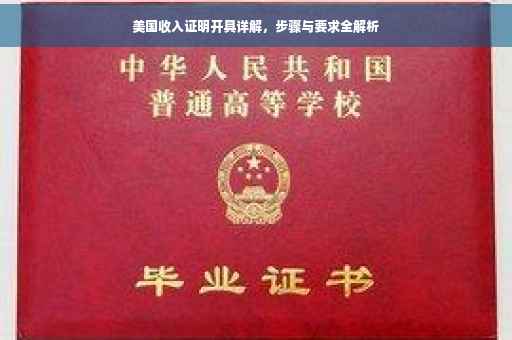 美国收入证明开具详解，步骤与要求全解析