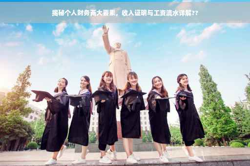 揭秘个人财务两大要素，收入证明与工资流水详解??