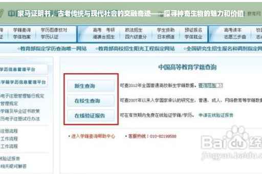 家马证明书，古老传统与现代社会的交融奇迹——探寻神奇生物的魅力和价值