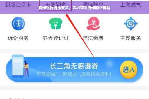 揭秘银行流水支金，金融交易流动脉络详解