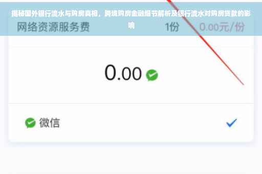 揭秘国外银行流水与购房真相，跨境购房金融细节解析及银行流水对购房贷款的影响