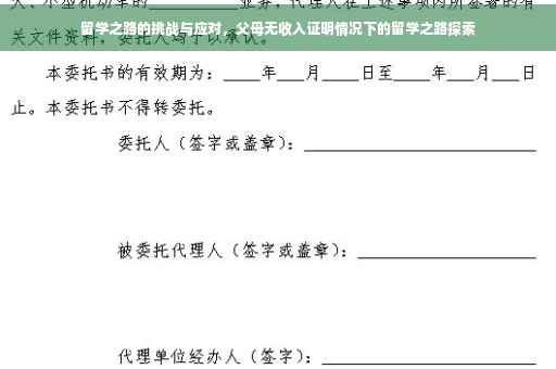 留学之路的挑战与应对，父母无收入证明情况下的留学之路探索