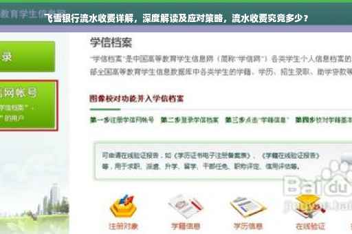 飞雪银行流水收费详解，深度解读及应对策略，流水收费究竟多少？