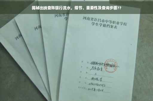 揭秘出纳查账银行流水，细节、重要性及查询步骤??