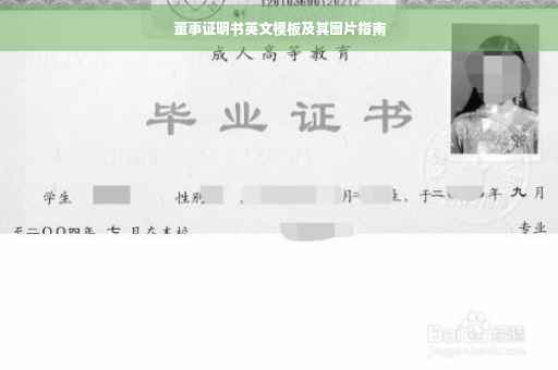董事证明书英文模板及其图片指南