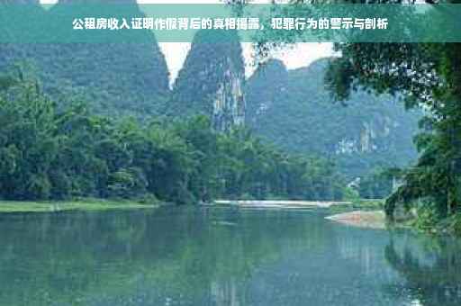 公租房收入证明作假背后的真相揭露，犯罪行为的警示与剖析