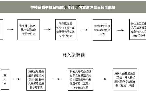 在校证明书撰写指南，步骤、内容与注意事项全解析