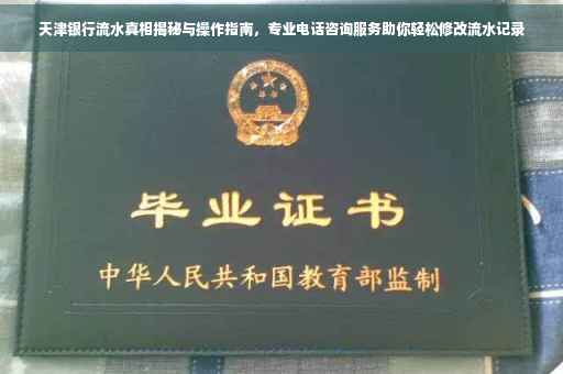天津银行流水真相揭秘与操作指南，专业电话咨询服务助你轻松修改流水记录
