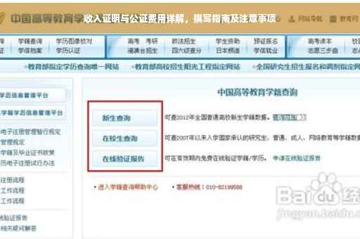 收入证明与公证费用详解，撰写指南及注意事项