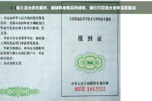 银行流水综合解析，揭秘账单背后的秘密，银行打印流水业务深度解读