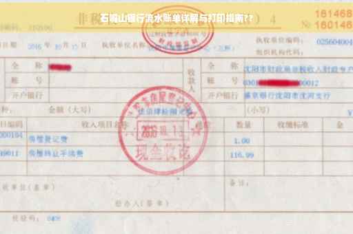 石嘴山银行流水账单详解与打印指南??