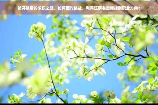 被开除后的求职之路，如何面对挑战，利用证明书重新找到职业方向？