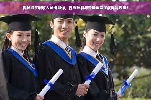 揭秘留在职收入证明翻译，隐形福利与跨境语言挑战详解攻略！