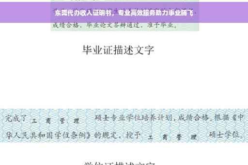 东莞代办收入证明书，专业高效服务助力事业腾飞