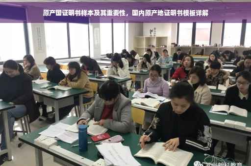 原产国证明书样本及其重要性，国内原产地证明书模板详解
