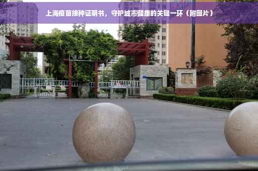 上海疫苗接种证明书，守护城市健康的关键一环（附图片）