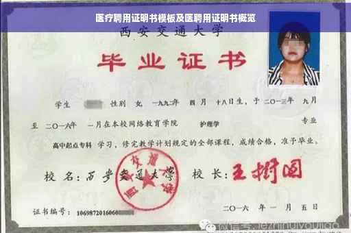 医疗聘用证明书模板及医聘用证明书概览