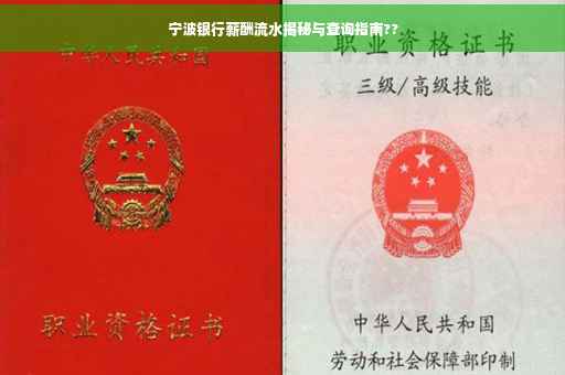 宁波银行薪酬流水揭秘与查询指南??