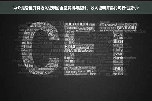 中介是否能开具收入证明的全面解析与探讨，收入证明开具的可行性探讨?