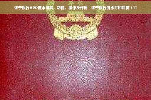 遂宁银行APP流水详解，功能、操作及作用 - 遂宁银行流水打印指南 ?⚡️