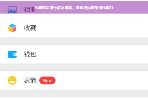 民政救助银行流水详解，查询流程与操作指南??