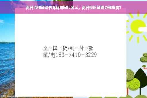 离开沧州证明书详解与图片展示，离开疫区证明办理指南?