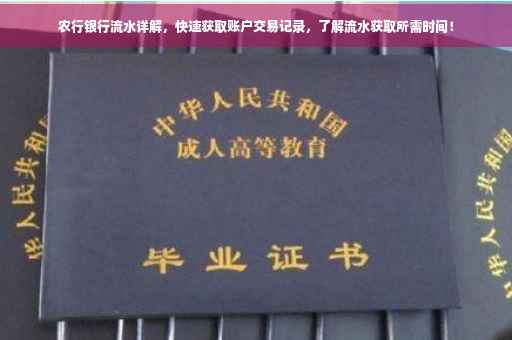 农行银行流水详解，快速获取账户交易记录，了解流水获取所需时间！