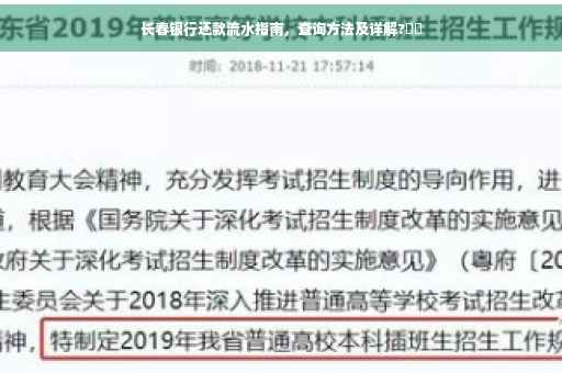 长春银行还款流水指南，查询方法及详解?⚡️