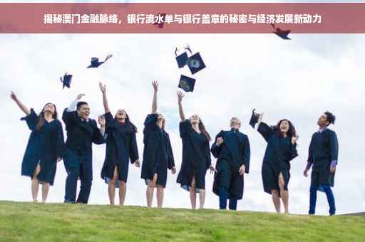 揭秘澳门金融脉络，银行流水单与银行盖章的秘密与经济发展新动力
