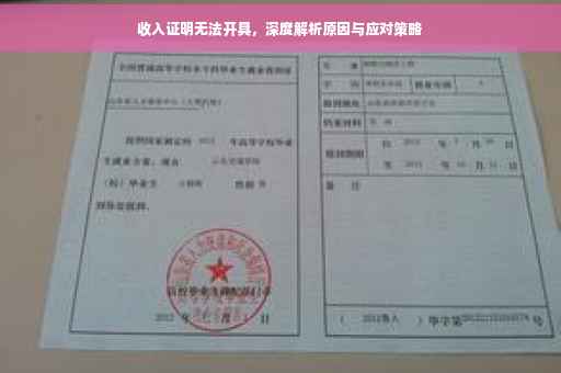 收入证明无法开具，深度解析原因与应对策略