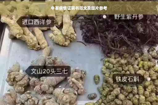 中暑病情证明书范文及图片参考