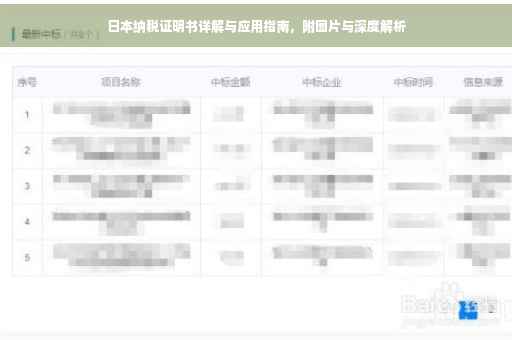 日本纳税证明书详解与应用指南，附图片与深度解析