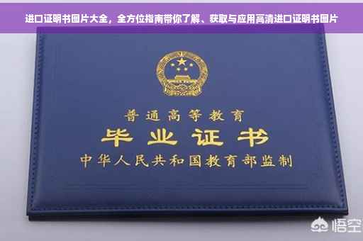 进口证明书图片大全，全方位指南带你了解、获取与应用高清进口证明书图片