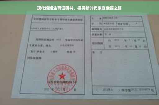 现代婚姻生育证明书，探寻新时代家庭幸福之路