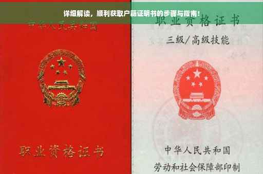 详细解读，顺利获取户籍证明书的步骤与指南！