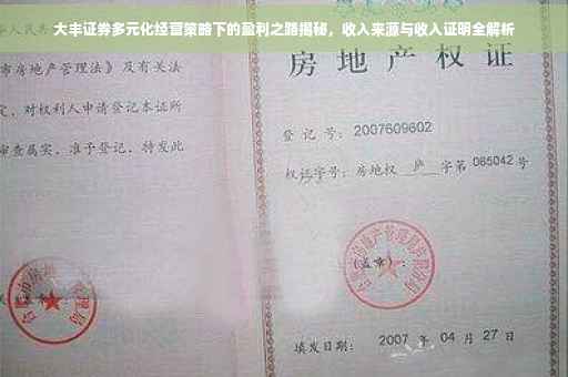 大丰证券多元化经营策略下的盈利之路揭秘，收入来源与收入证明全解析
