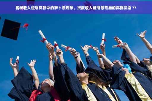 揭秘收入证明贷款中的萝卜章现象，贷款收入证明章背后的真相探索 ??