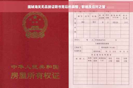 揭秘海关无品牌证明书背后的真相、影响及应对之策
