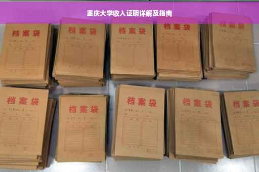 重庆大学收入证明详解及指南