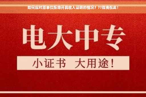 如何应对原单位拒绝开具收入证明的情况？??指南在此！