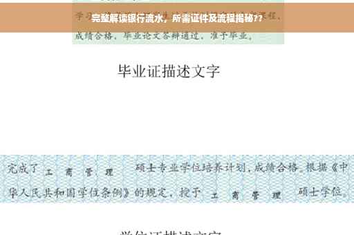 完整解读银行流水，所需证件及流程揭秘??