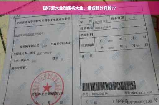 银行流水金额解析大全，组成部分详解??