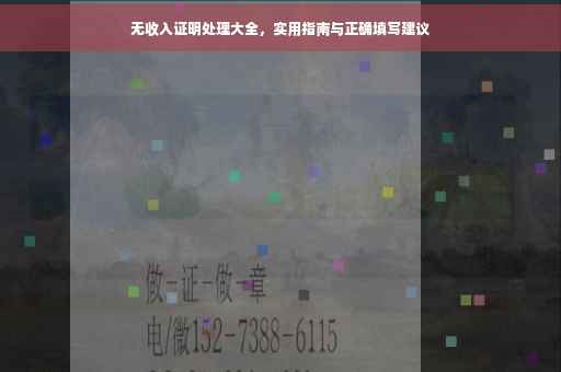 无收入证明处理大全，实用指南与正确填写建议
