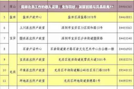 揭秘北京工作的收入证明，生存现状、发展前瞻与开具指南??